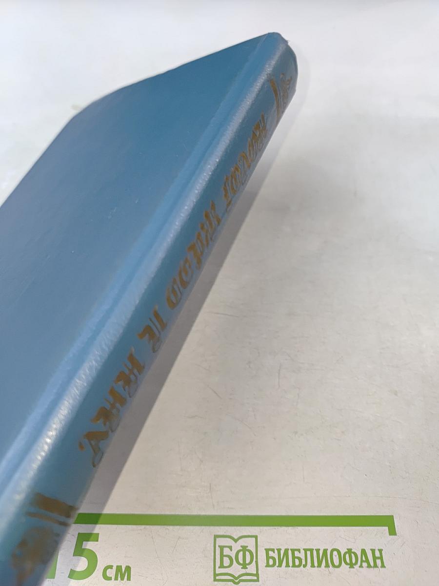 Путь в Версаль. Анжелика и король