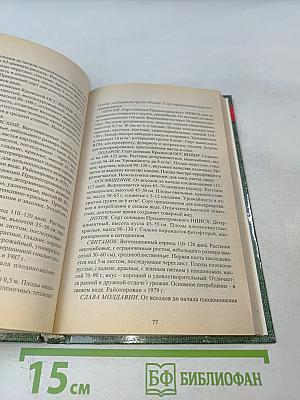 Помидоры, перец, баклажаны, физалис