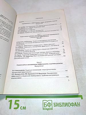 Социальная справедливость и экономическая эффективность: опыт, проблемы, теория