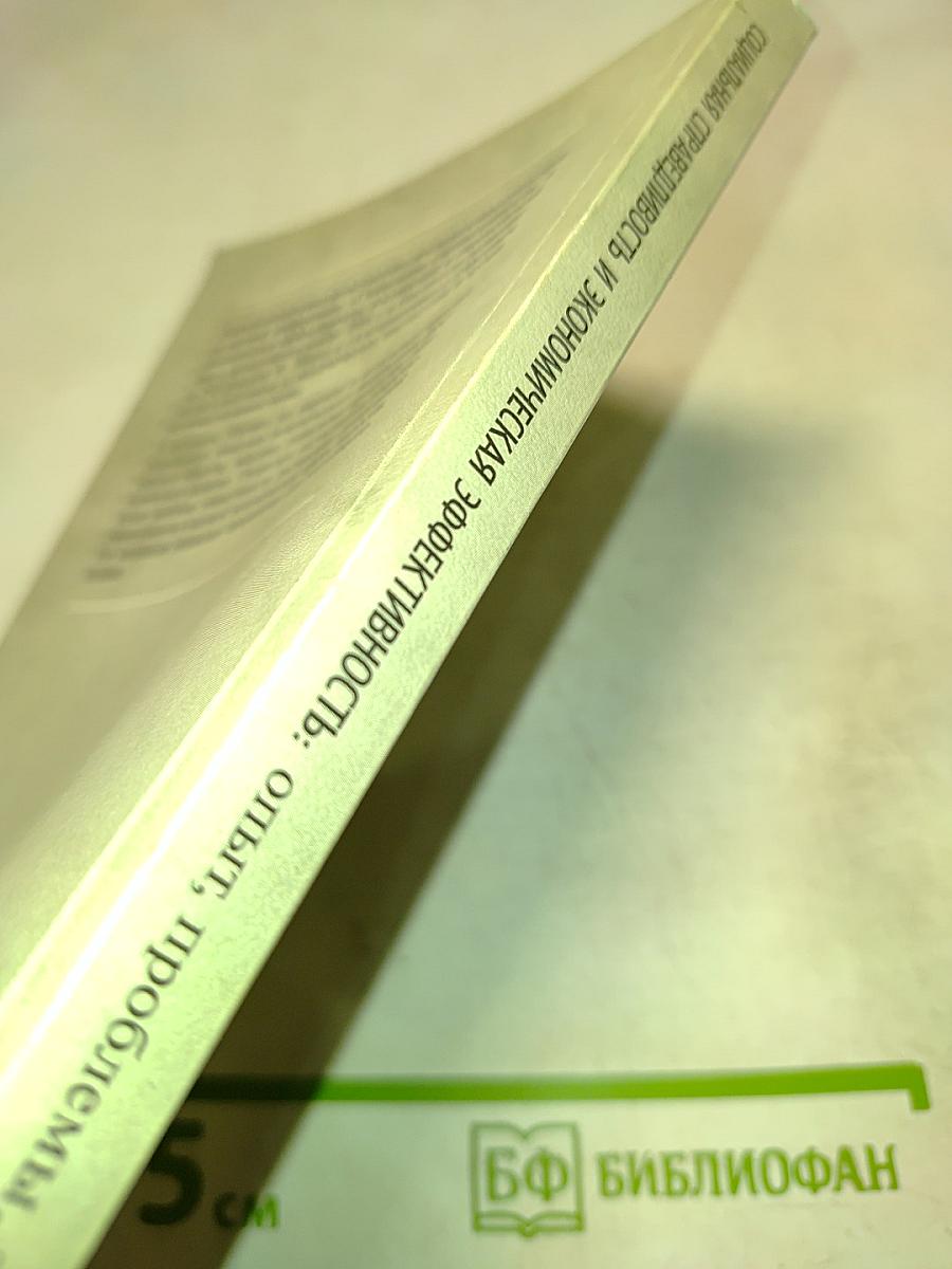 Социальная справедливость и экономическая эффективность: опыт, проблемы, теория