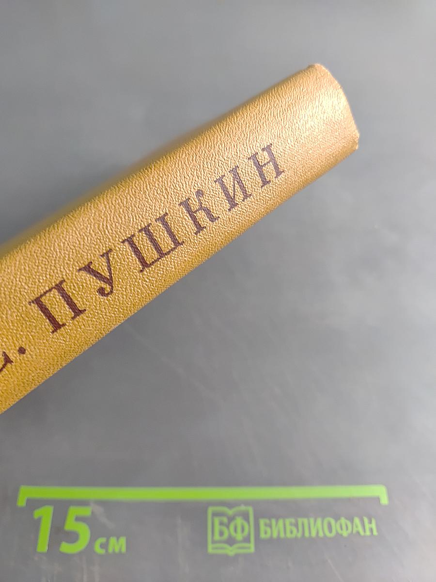 А. С. Пушкин. Полное собрание сочинений. Том VIII. Автобиографическая и историческая проза. История Пугачева. Записки Моро де Бразе
