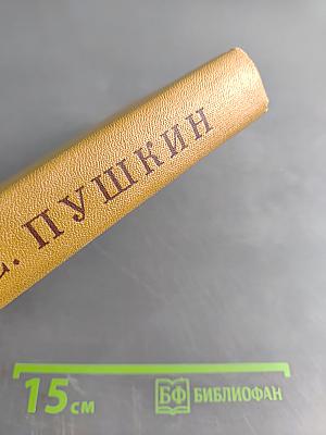 А. С. Пушкин. Полное собрание сочинений. Том VIII. Автобиографическая и историческая проза. История Пугачева. Записки Моро де Бразе