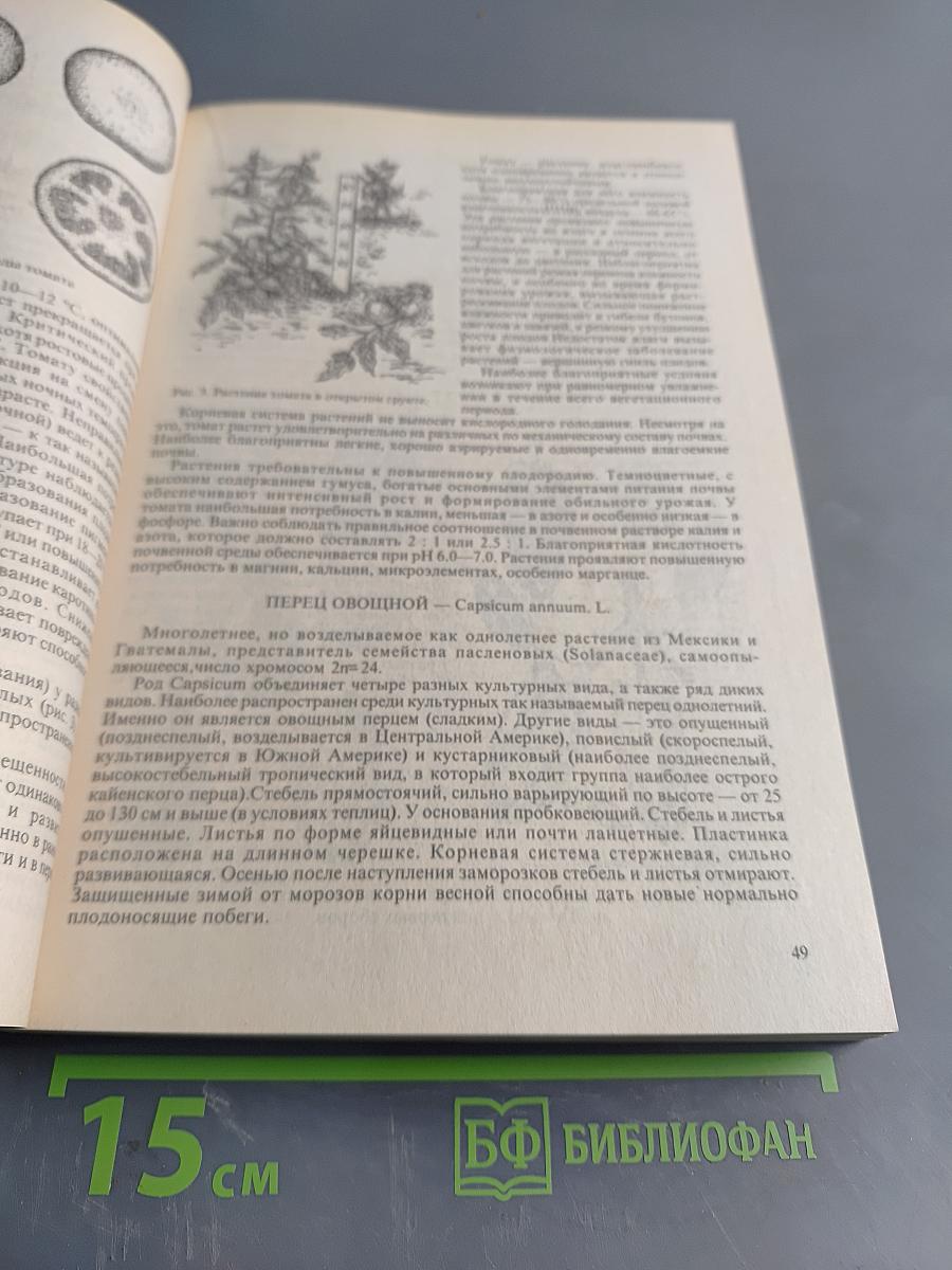 Овощные культуры мира. Энциклопедия огородничества