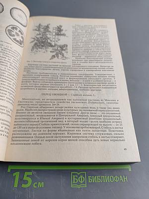 Овощные культуры мира. Энциклопедия огородничества
