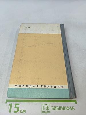 Джалаладдин Руми. Жизнь замечательных людей