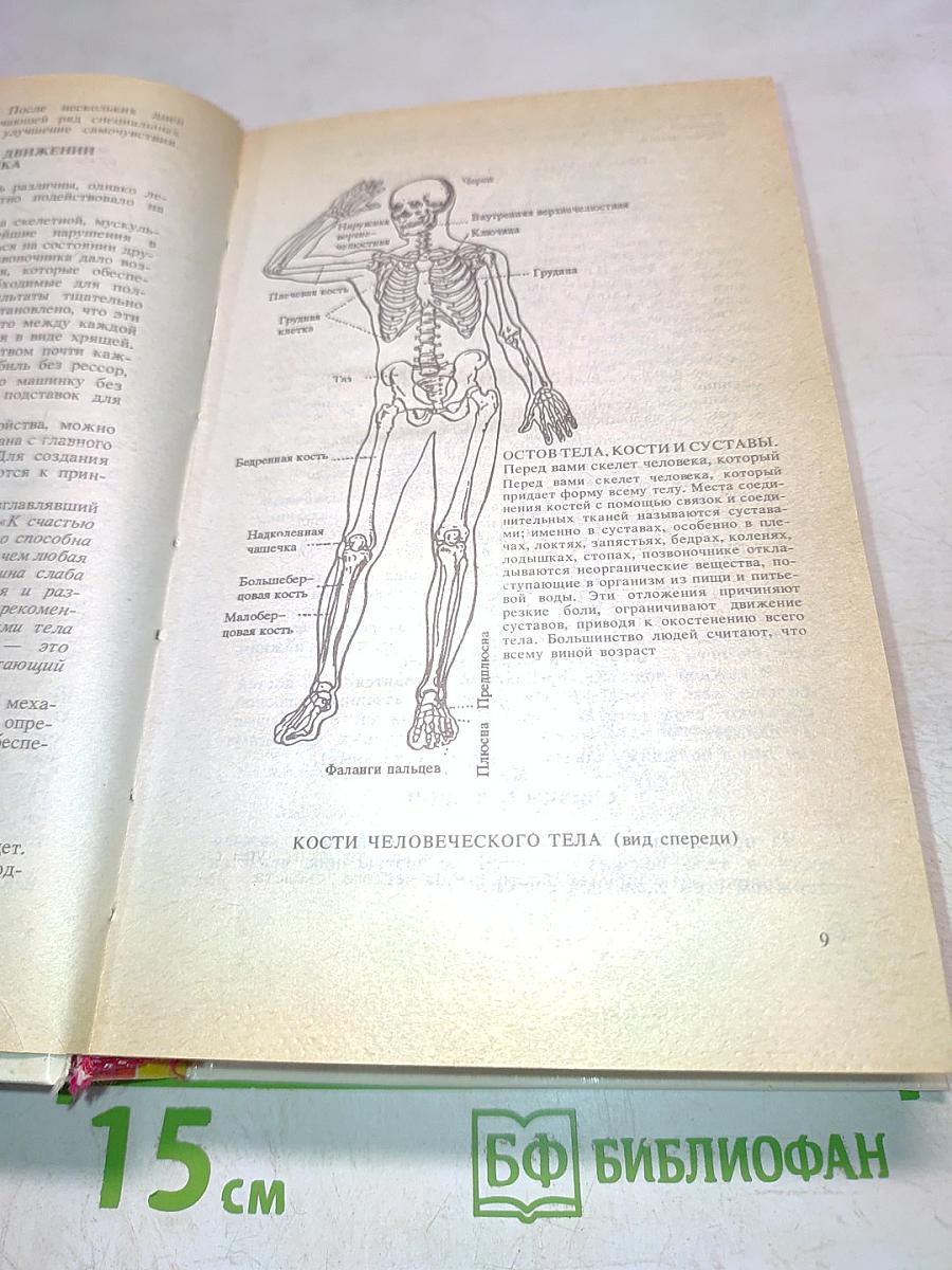 Позвоночник - ключ к здоровью. Оздоровление позвоночника