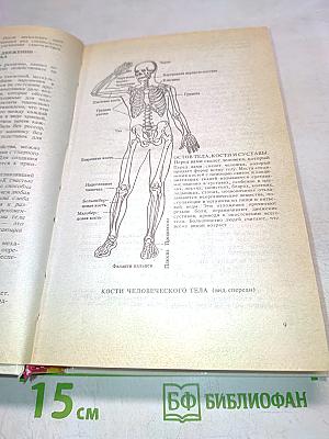 Позвоночник - ключ к здоровью. Оздоровление позвоночника