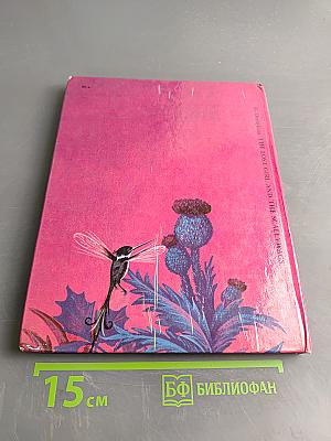 The Lost Girl and the Scallywags