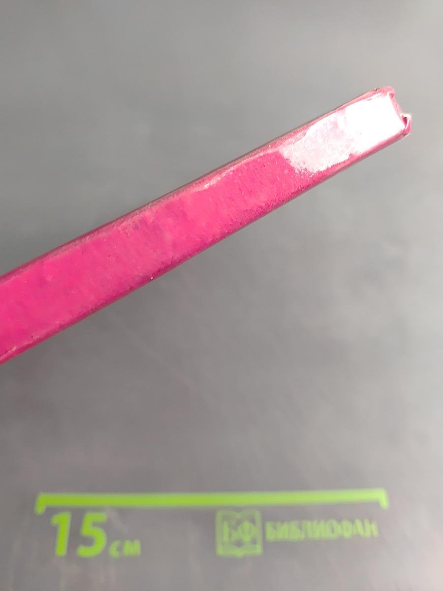 The Lost Girl and the Scallywags