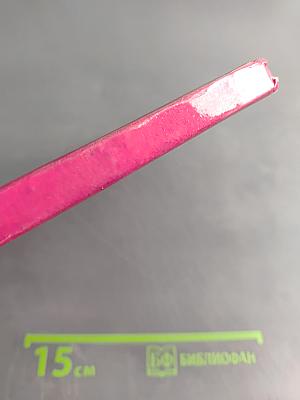 The Lost Girl and the Scallywags