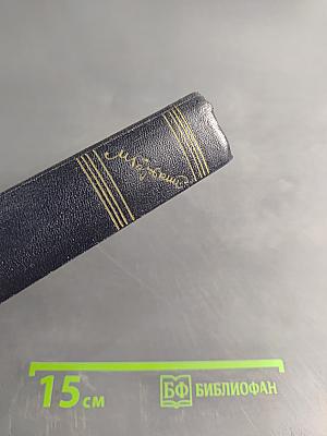 Собрание сочинений в 30 томах. Том 4. Повести, очерки, рассказы 1899-1900