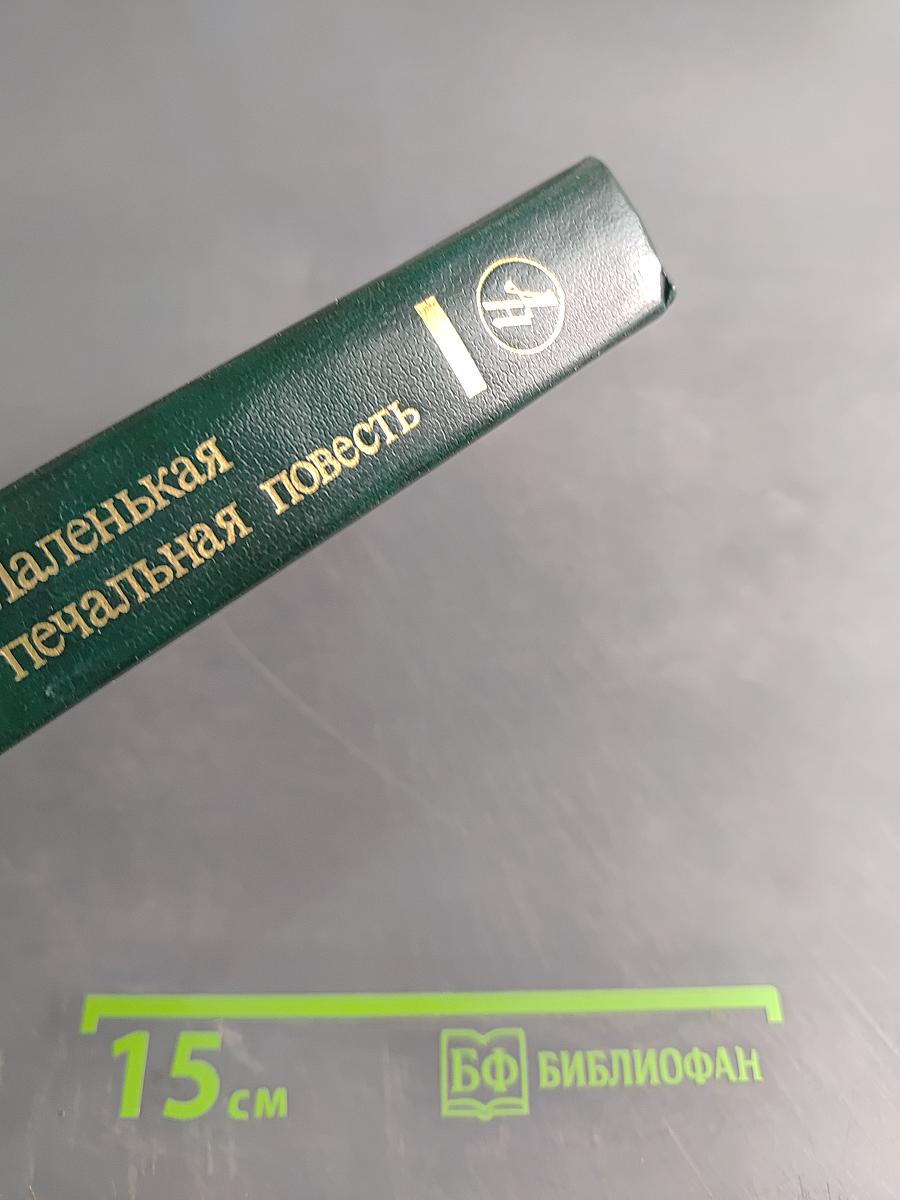 Маленькая печальная повесть