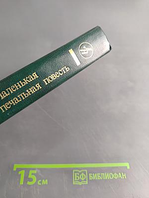 Маленькая печальная повесть