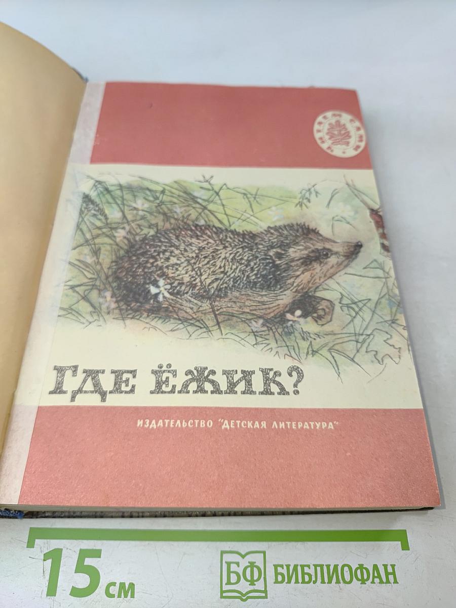Где ёжик?