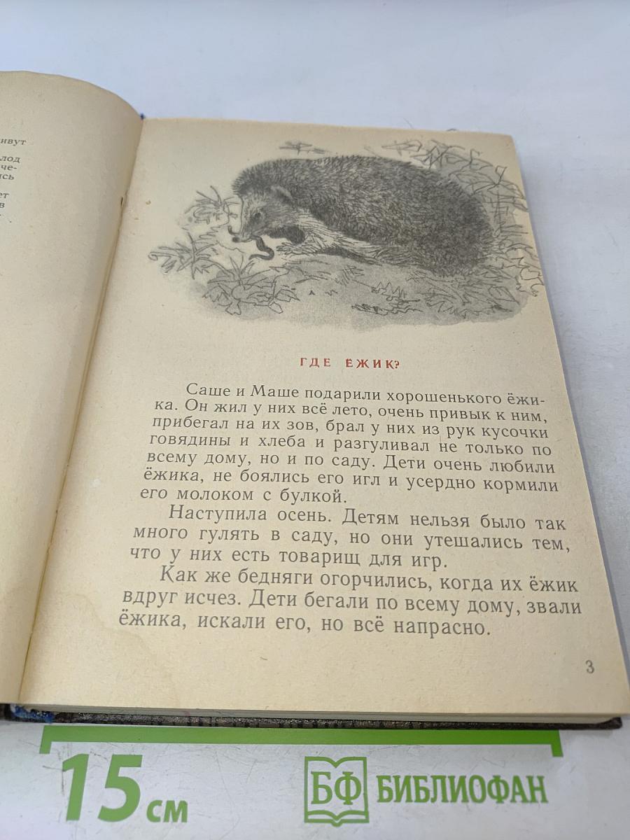 Где ёжик?
