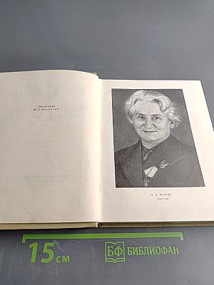 Собрание сочинений. Том 4. Михайловский замок