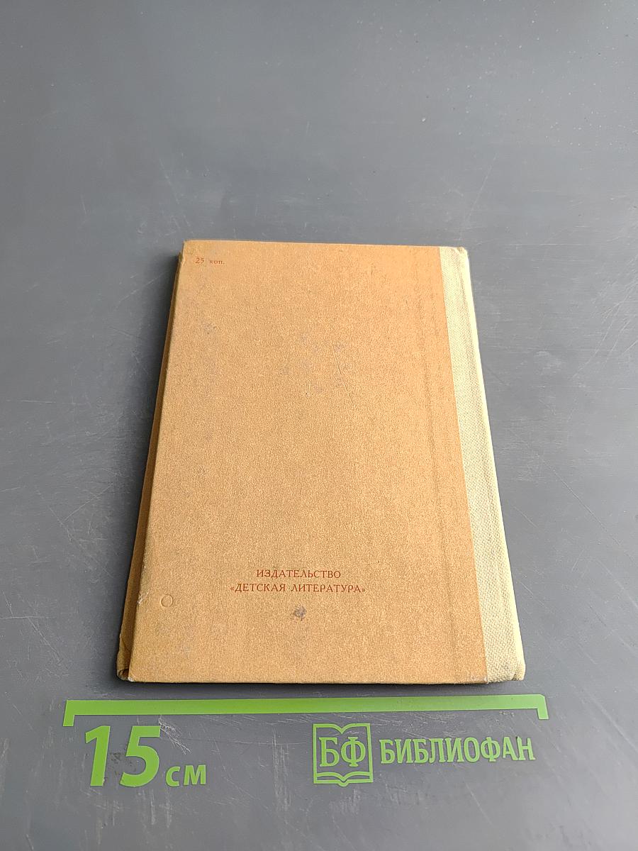 Рассказы о поэте