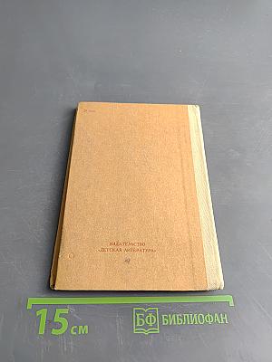 Рассказы о поэте