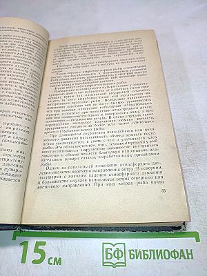 Практика спортивного рыболовства