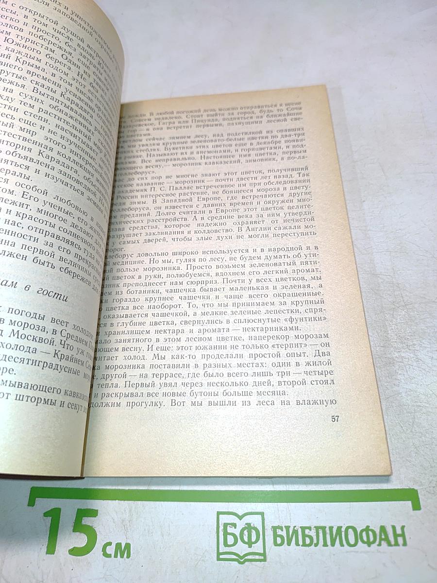 Ускользающие жемчужины