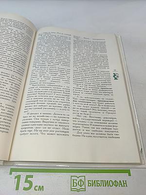 Тайна пятого яблока