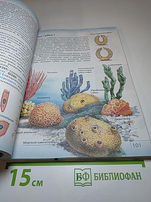 Биология для 7 класса
