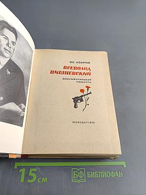 Всеволод Вишневский. Документальная повесть