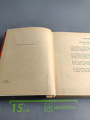 Всеволод Вишневский. Документальная повесть