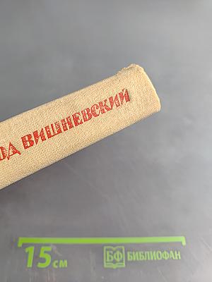 Всеволод Вишневский. Документальная повесть