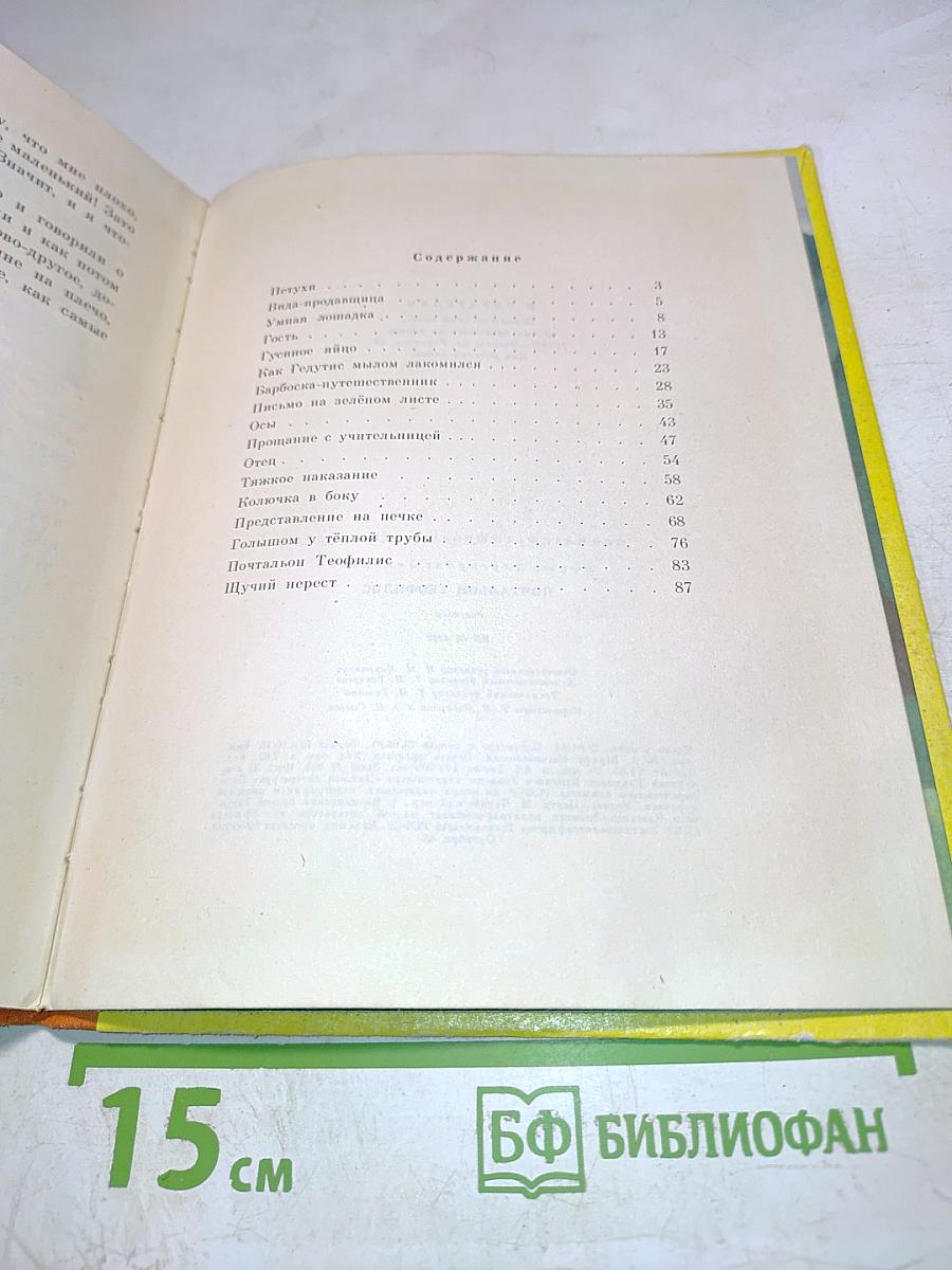 Почтальон Теофилис