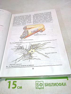 Биология Человек 9