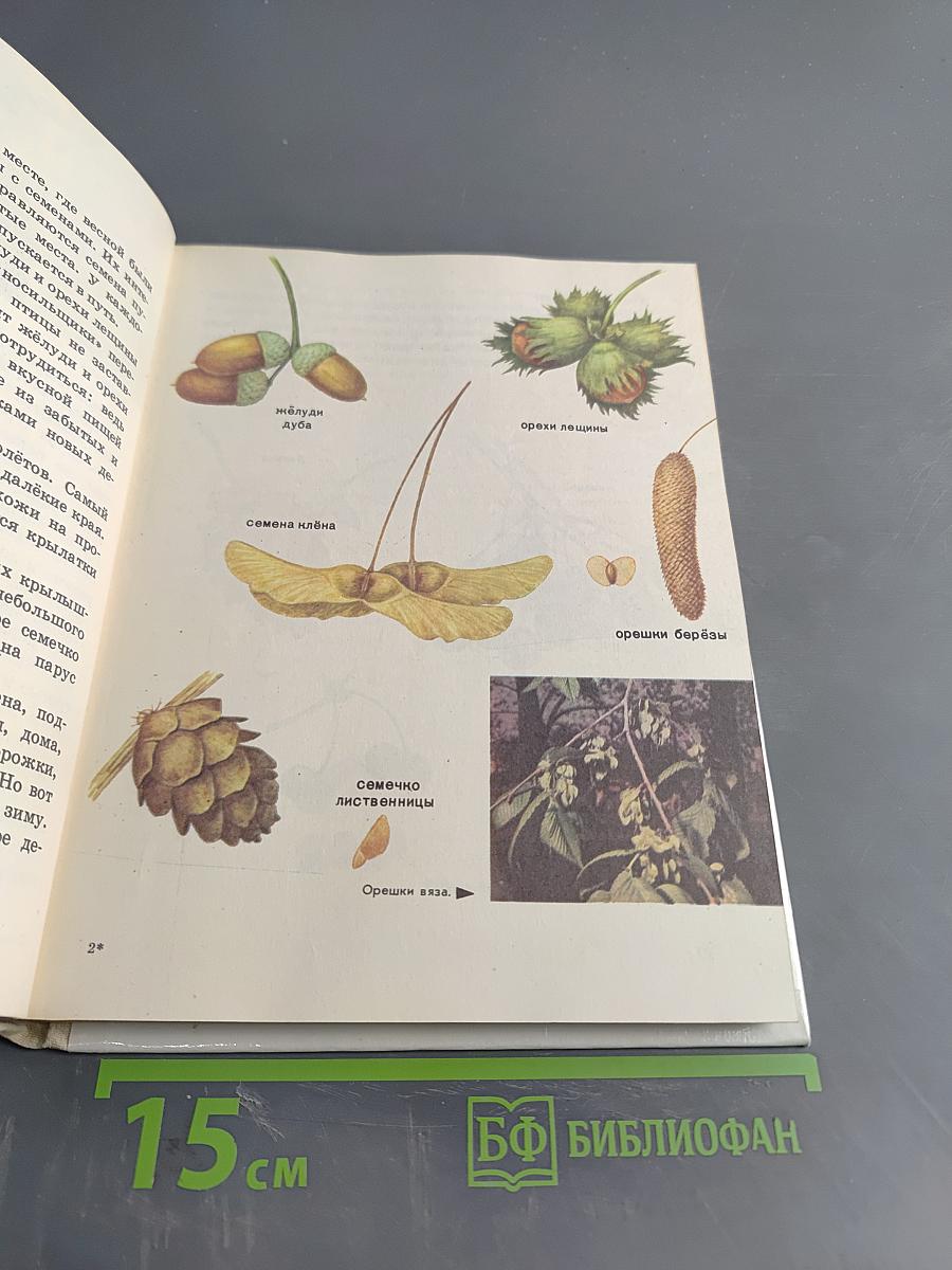 Краски природы. Книга для учащихся начальных классов