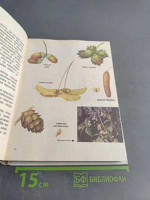 Краски природы. Книга для учащихся начальных классов