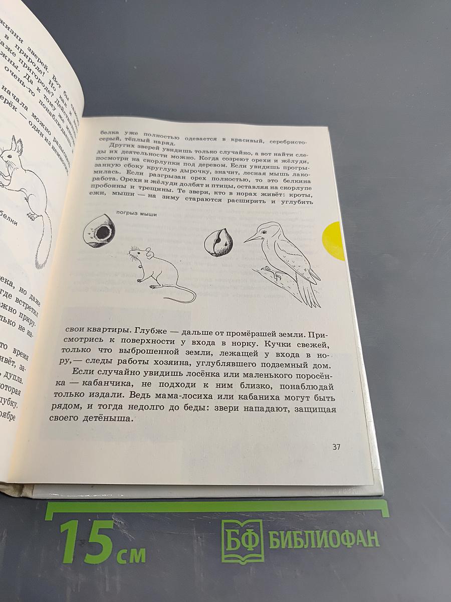 Краски природы. Книга для учащихся начальных классов