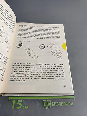 Краски природы. Книга для учащихся начальных классов