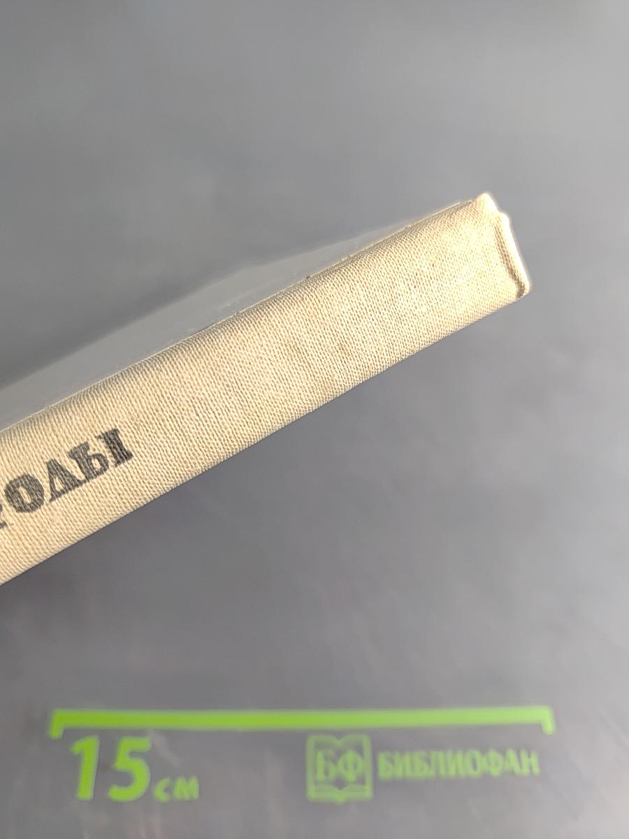 Краски природы. Книга для учащихся начальных классов