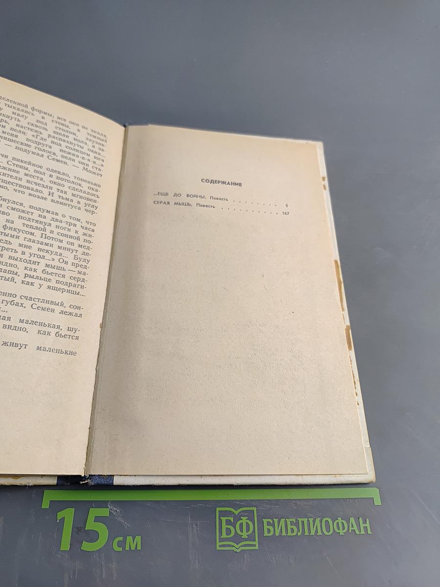 Две повести