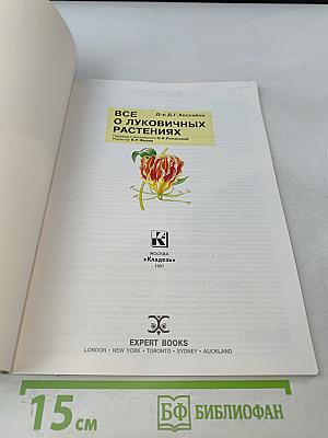 Все о луковичных растениях