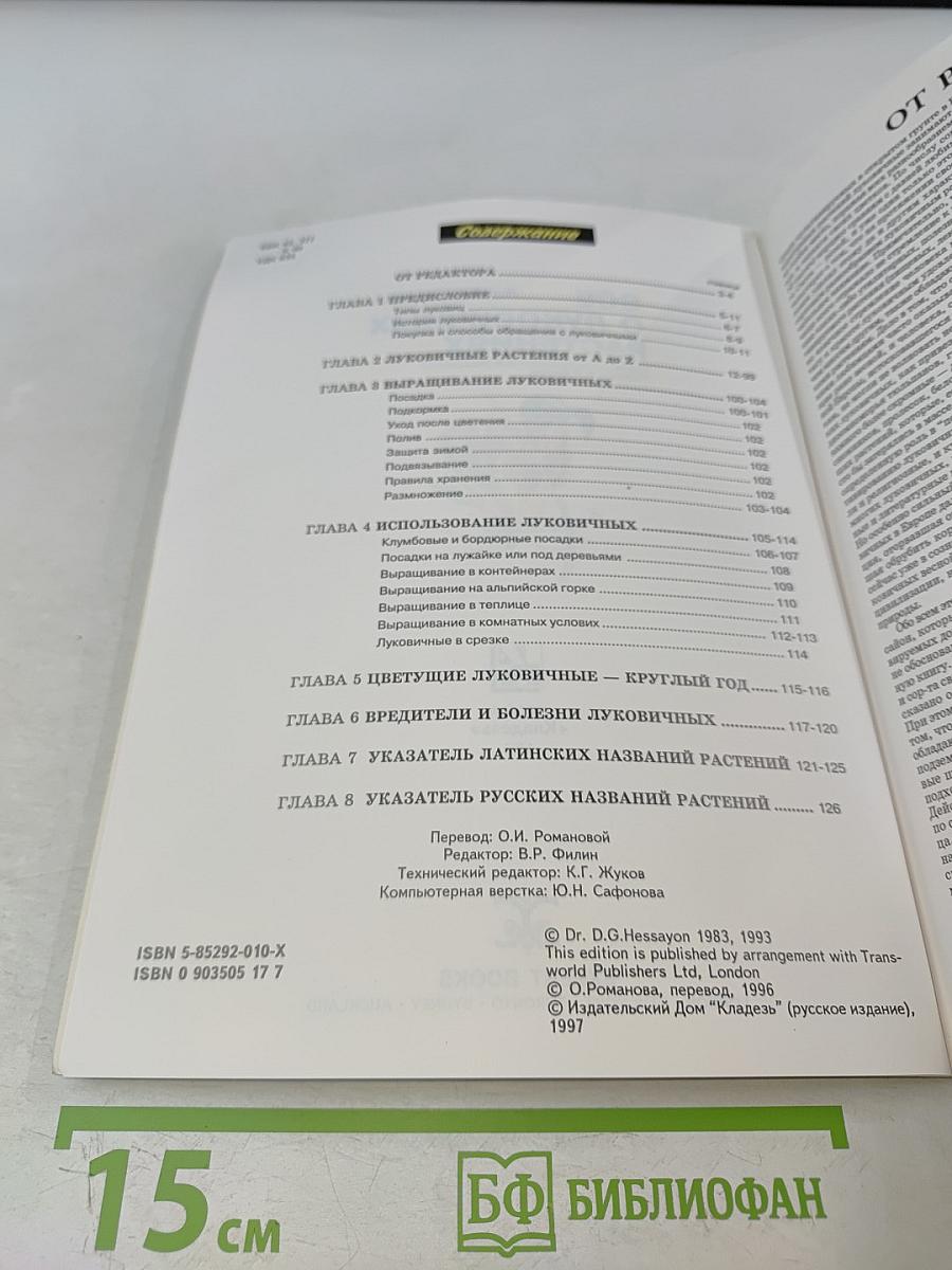 Все о луковичных растениях