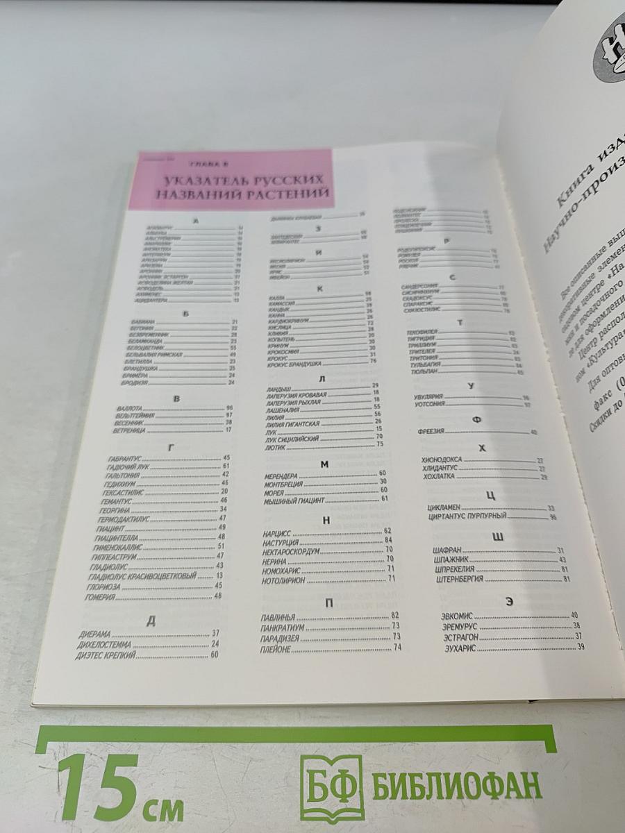 Все о луковичных растениях