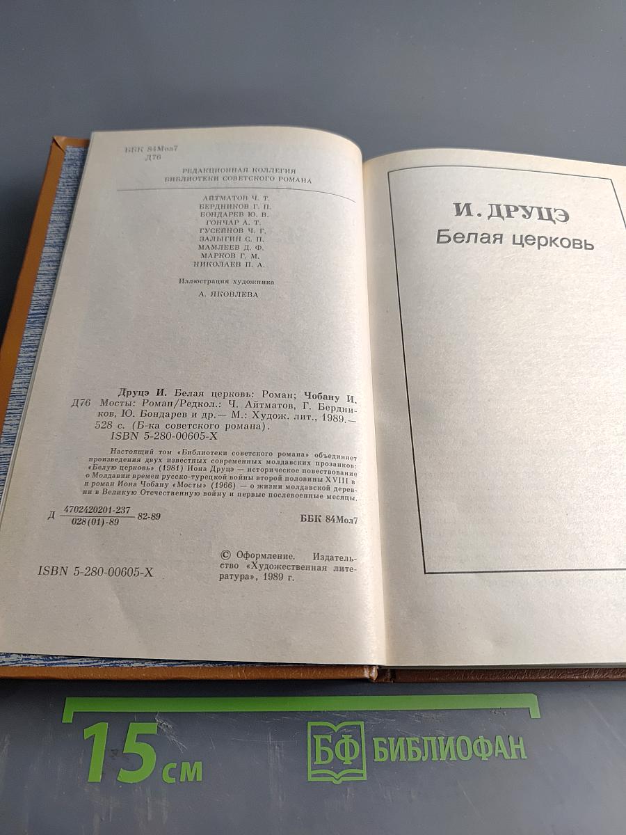 Белая церковь. Мосты