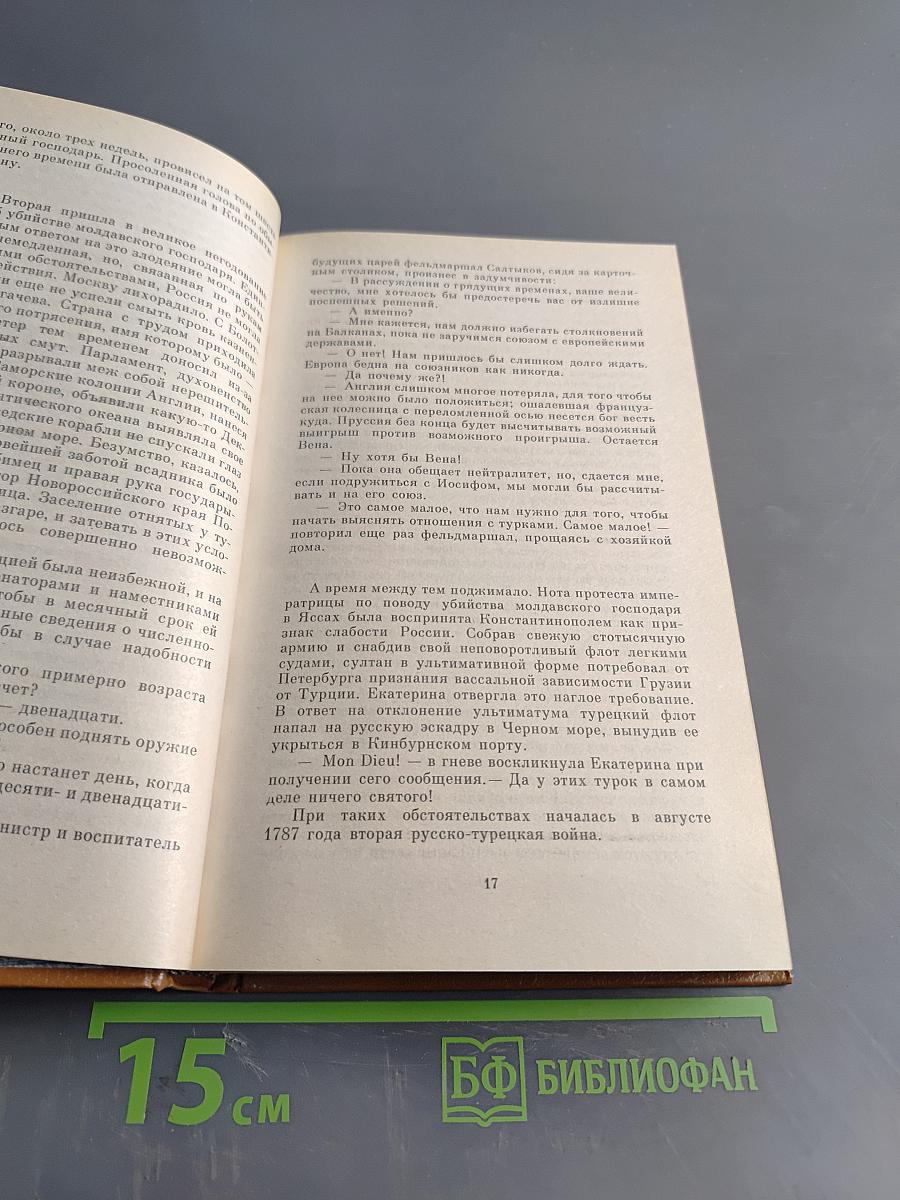 Белая церковь. Мосты