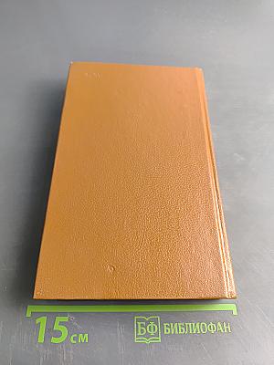 Белая церковь. Мосты