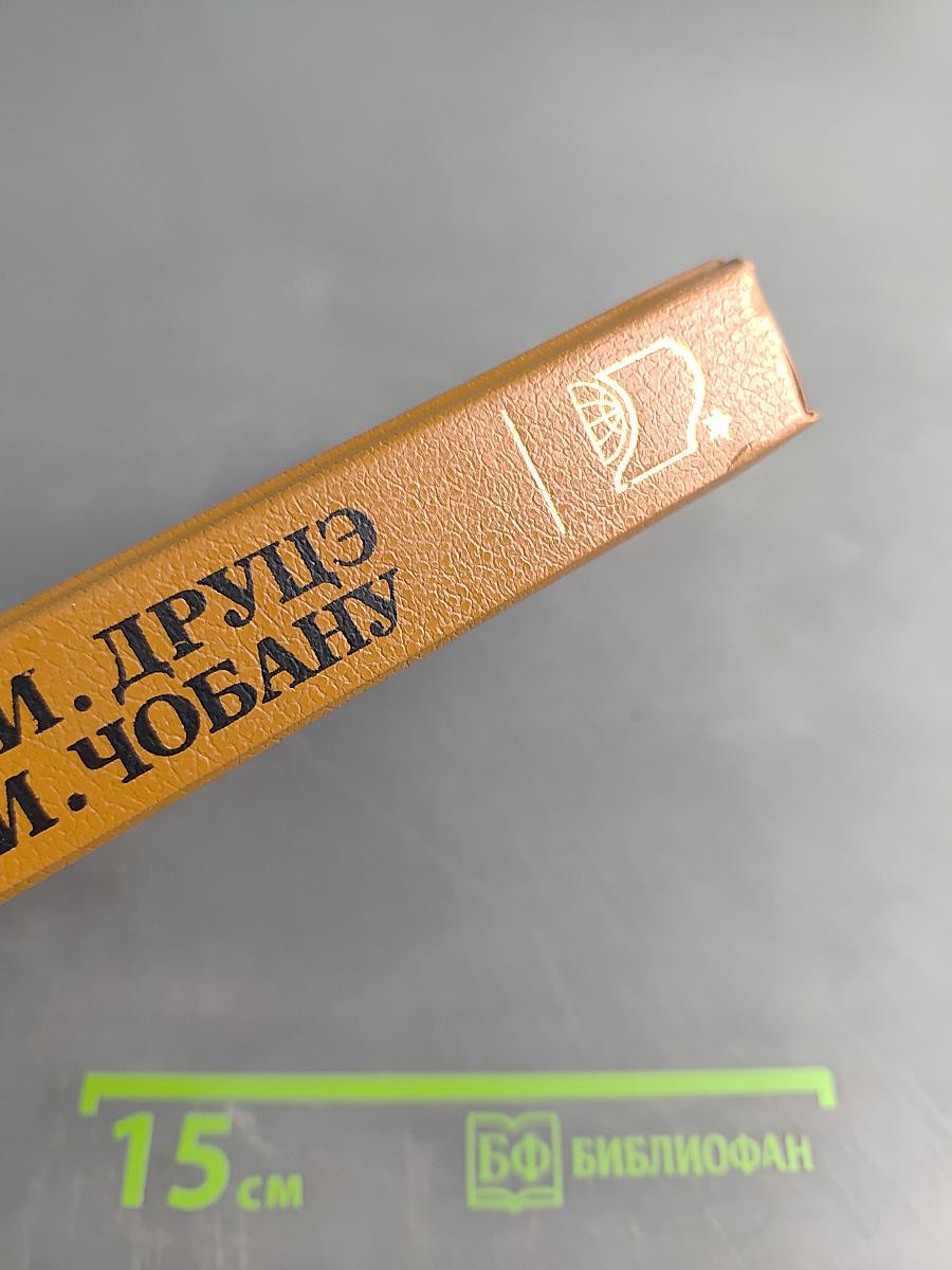 Белая церковь. Мосты