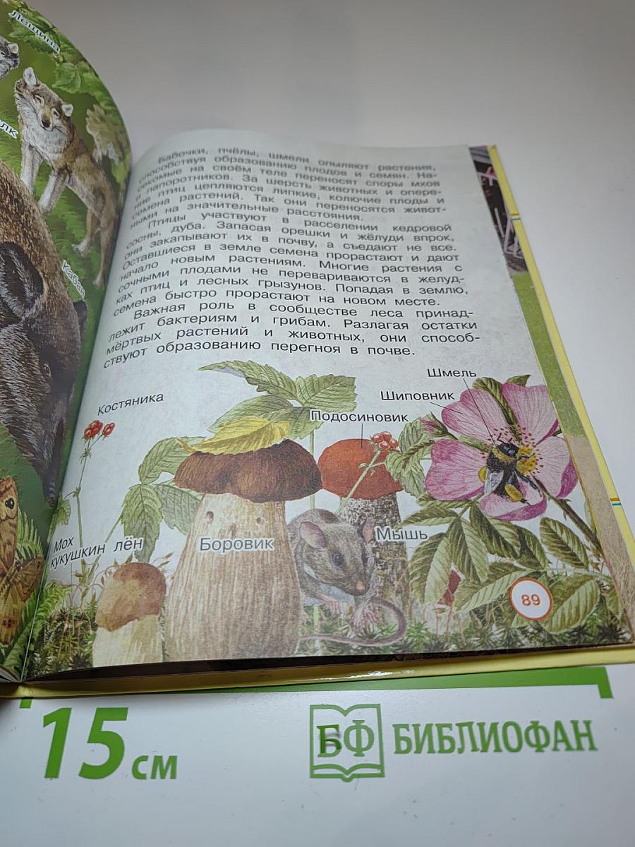 Окружающий мир 3 класс Часть первая