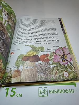Окружающий мир 3 класс Часть первая