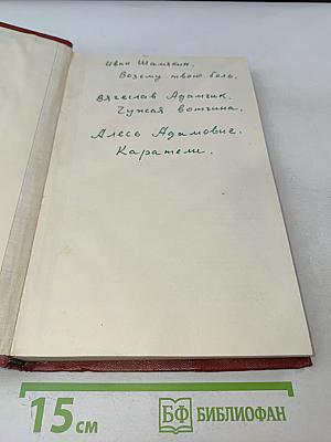 Возьму твою боль