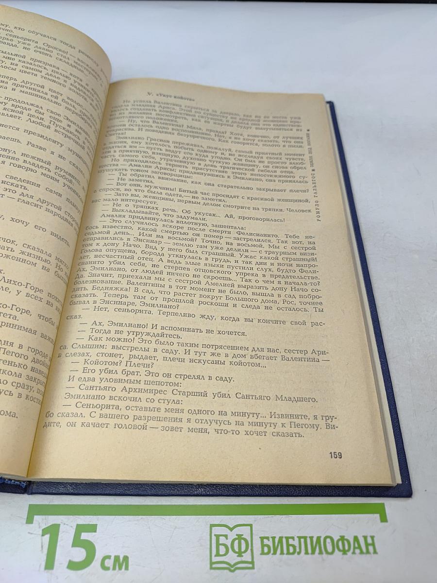 Ромуло Гальегос. Земля под ногами