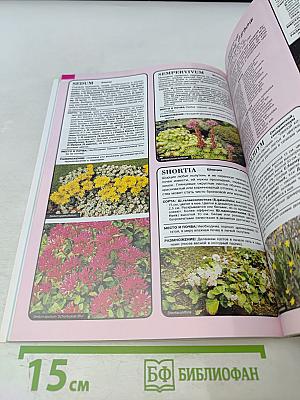 Все о цветах в вашем саду