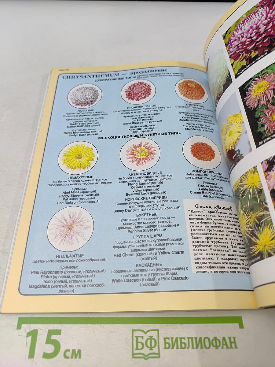 Все о цветах в вашем саду